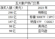 散户最爱！AI巨头英伟达今年“吸金”近300亿美元