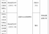 湖北巴东农村商业银行被罚30万元：因违规向企业转嫁费用