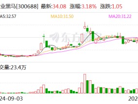 创业黑马：调整回购股份价格上限