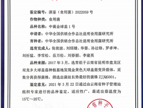 变政！新西兰公布投资移民新政，500万纽币起投！